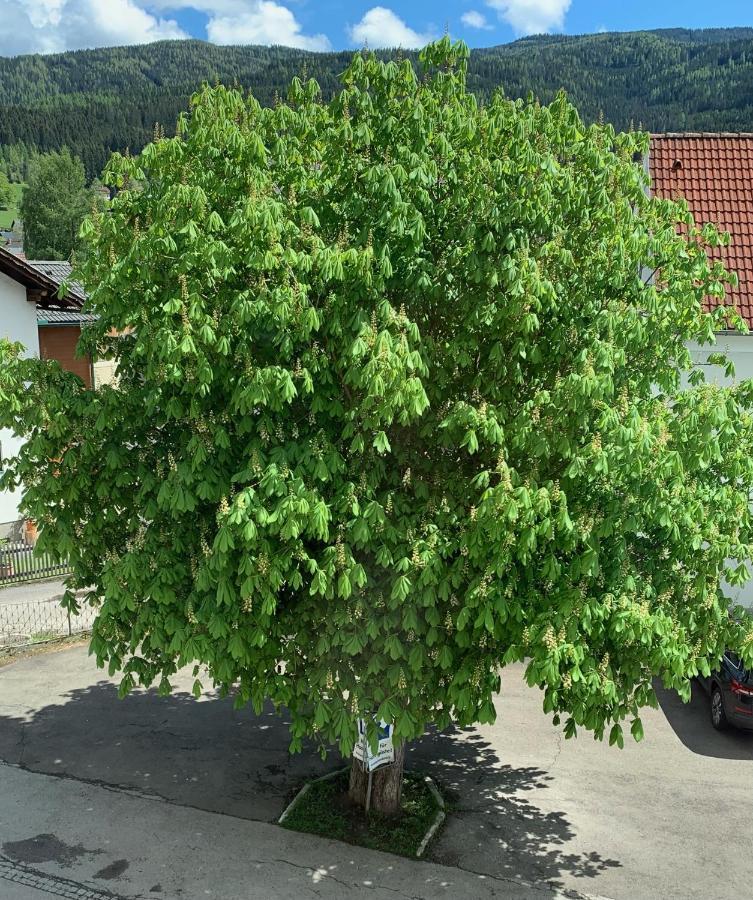 Landgasthof Zur Post Mitterdorf im Mürztal Exterior foto