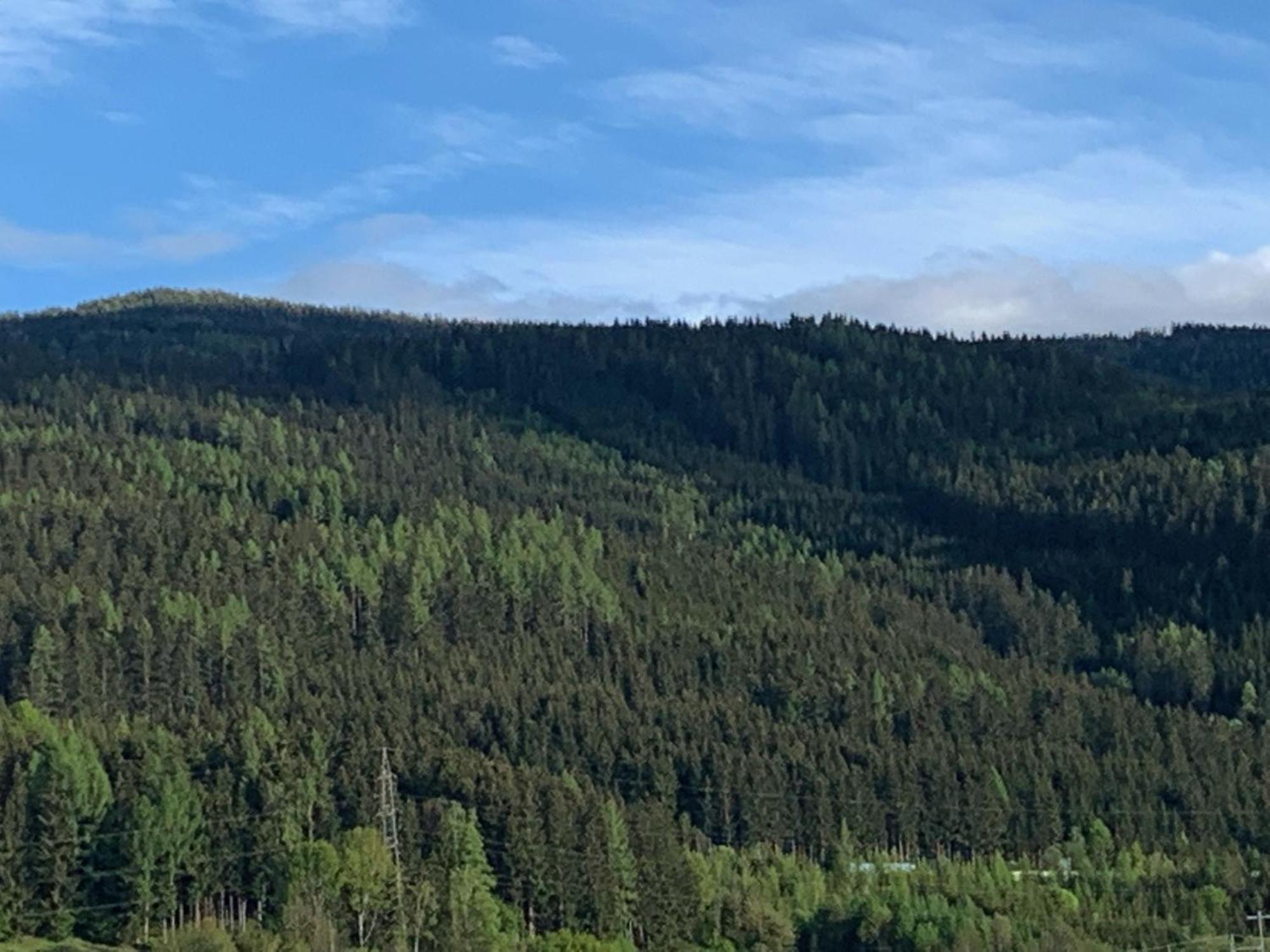 Landgasthof Zur Post Mitterdorf im Mürztal Habitación foto